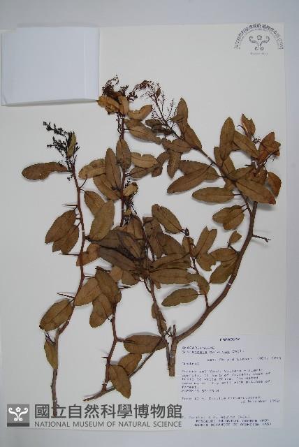 登錄號:S054685藏品圖，第1張