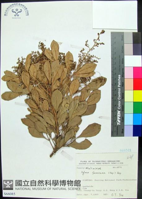 紅柴藏品圖，第1張