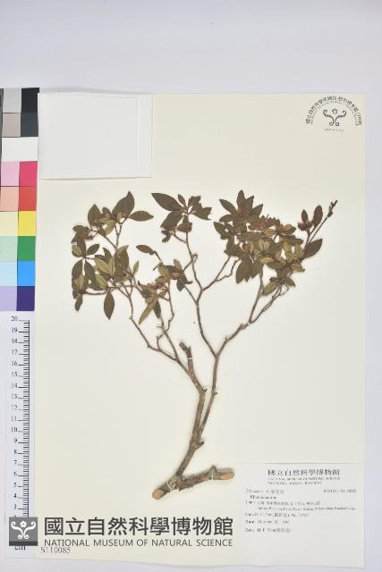 登錄號:S110085藏品圖，第1張