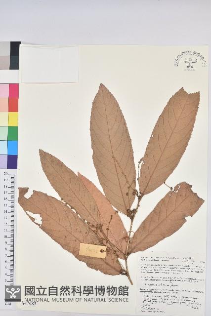 登錄號:S047085藏品圖，第1張