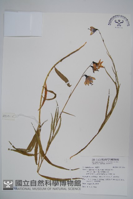 登錄號:S116785藏品圖，第1張