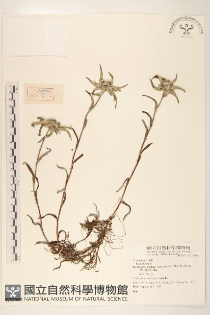 登錄號:S074385藏品圖，第1張