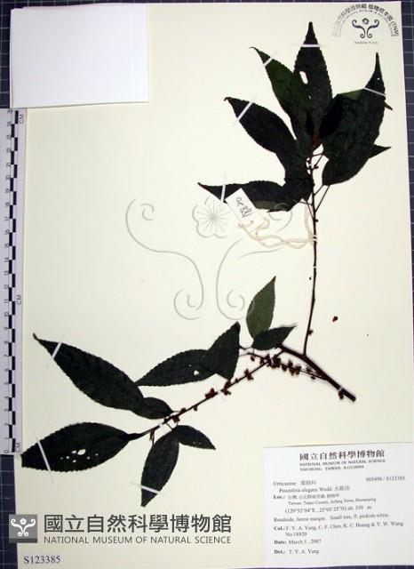 水雞油藏品圖，第1張