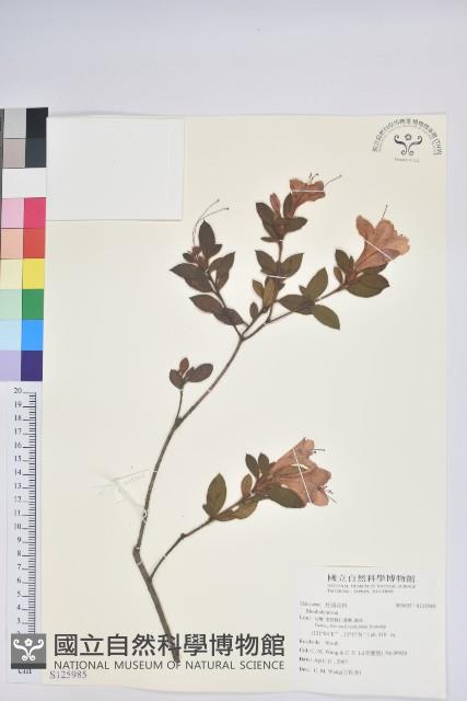 登錄號:S125985藏品圖，第1張