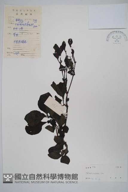 登錄號:S045624藏品圖，第1張