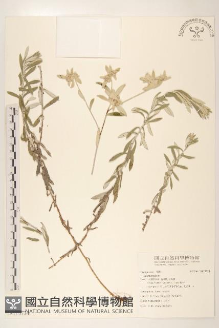 登錄號:S115724藏品圖，第1張