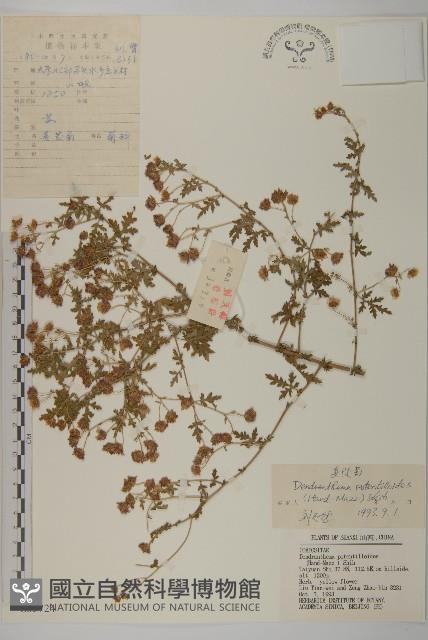 Accession Number:S035724 Collection Image, Figure 1, Total 3 Figures