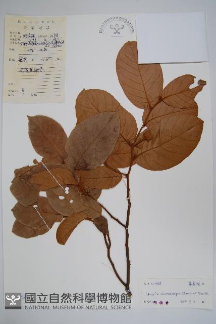 Accession Number:S042224 Collection Image, Figure 1, Total 2 Figures