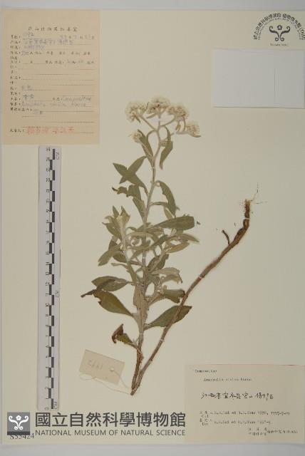 Accession Number:S055424 Collection Image, Figure 1, Total 3 Figures