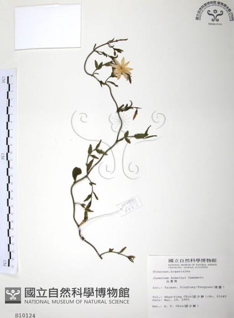 山素英藏品圖，第1張