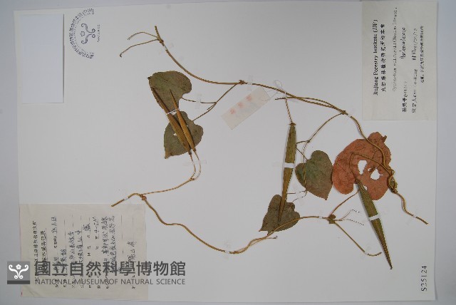 隔山消藏品圖，第1張