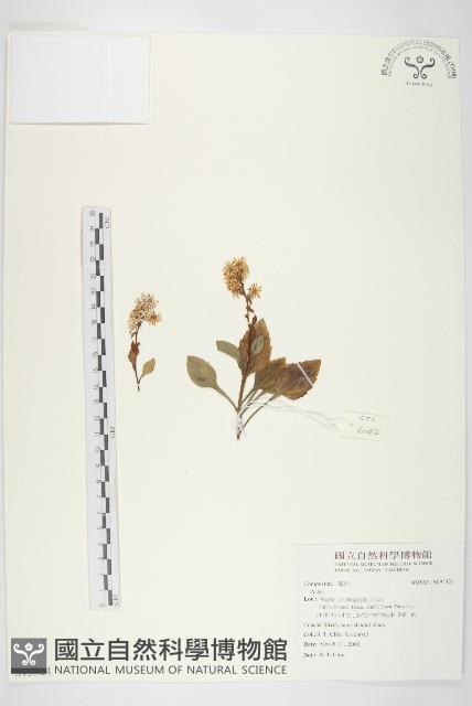 登錄號:S095324藏品圖，第1張