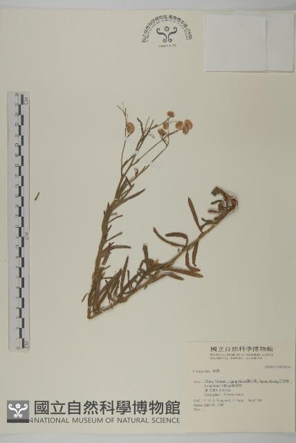 登錄號:S034924藏品圖，第1張