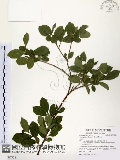 灰木藏品圖，第1張