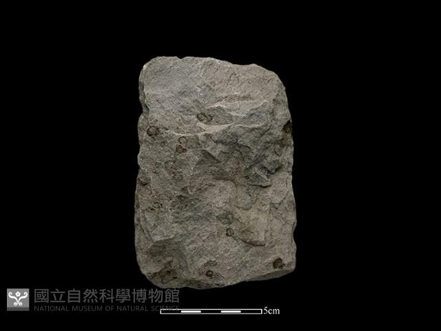 斧鋤形器藏品圖，第1張