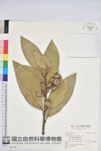 登錄號:S161704藏品圖，第1張