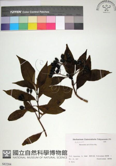 玉葉金花藏品圖，第1張