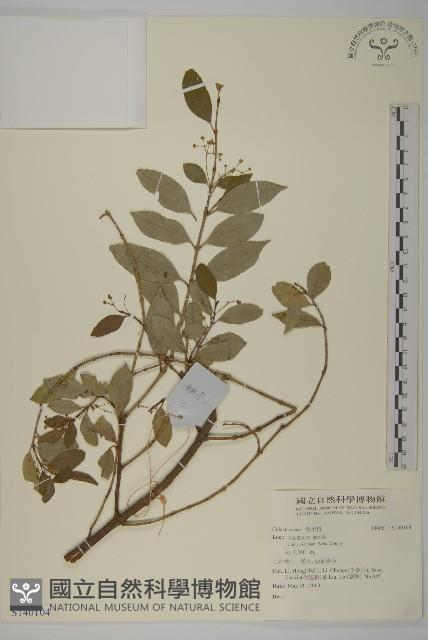 登錄號:S140104藏品圖，第1張