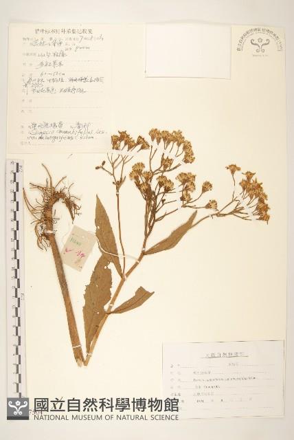 登錄號:S107504藏品圖，第1張