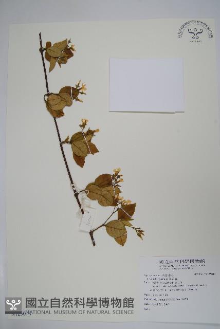 登錄號:S125014藏品圖，第1張