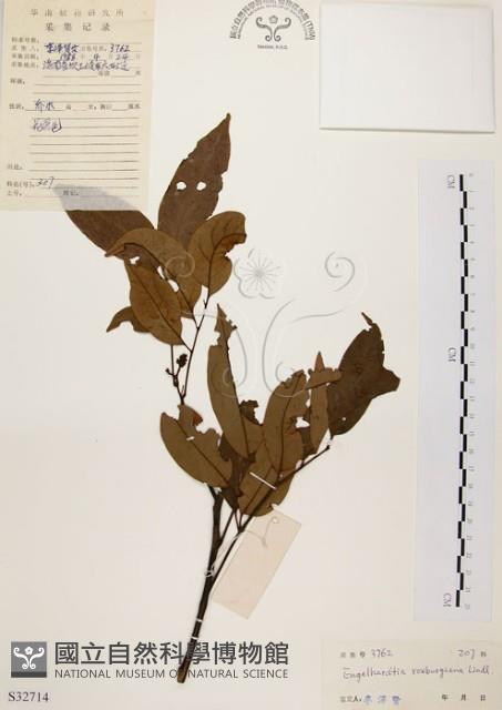 黃杞藏品圖，第1張