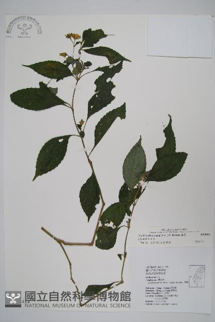 Accession Number:S034414 Collection Image, Figure 1, Total 2 Figures