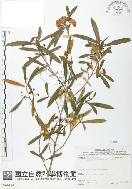 車桑子藏品圖，第1張