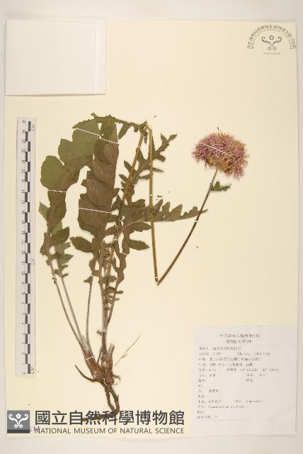 漏蘆藏品圖，第1張