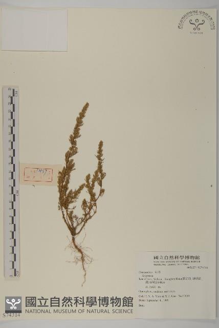 登錄號:S074314藏品圖，第1張