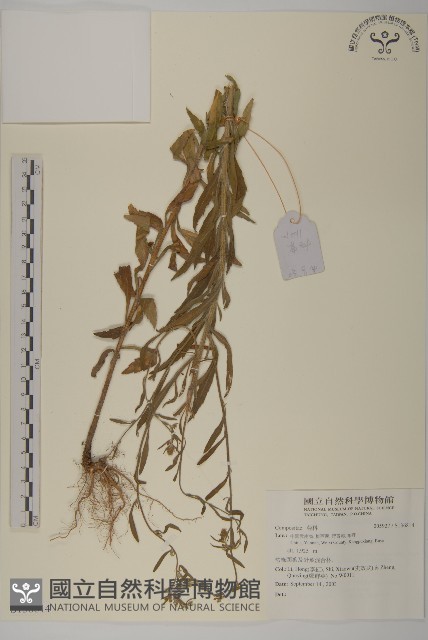 登錄號:S136814藏品圖，第1張
