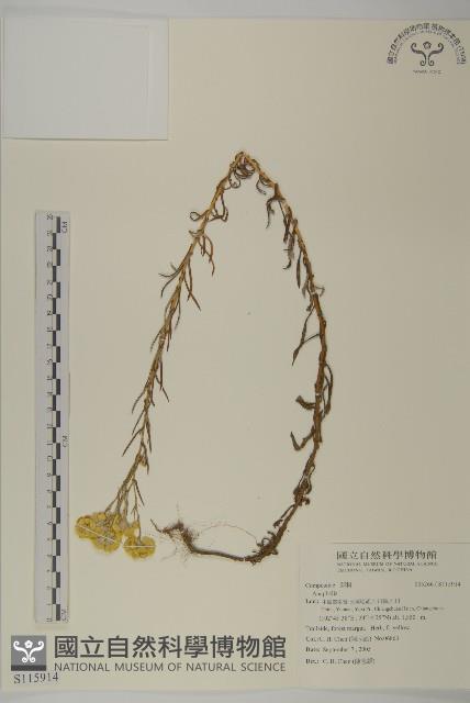 登錄號:S115914藏品圖，第1張