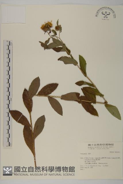 登錄號:S034914藏品圖，第1張