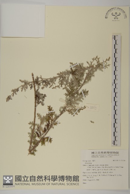 登錄號:S123514藏品圖，第1張