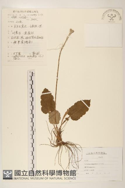 Accession Number:S107514 Collection Image, Figure 1, Total 3 Figures