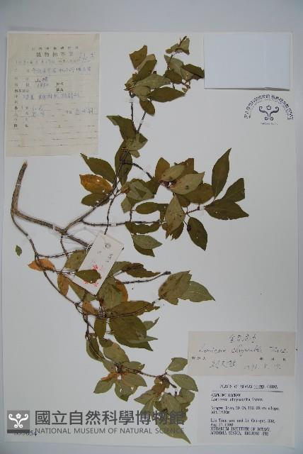 Accession Number:S035654 Collection Image, Figure 1, Total 2 Figures