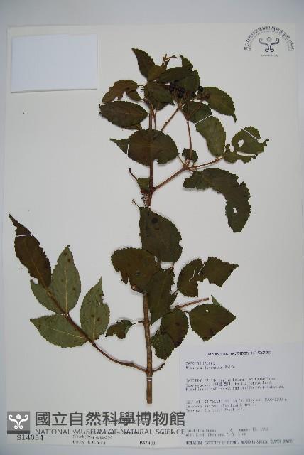 Accession Number:S014054 Collection Image, Figure 1, Total 2 Figures