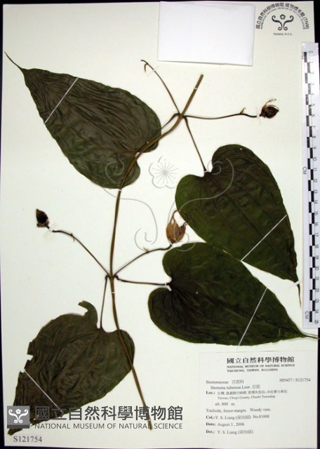 百部藏品圖，第1張