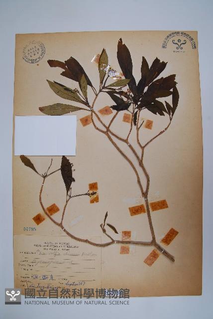 登錄號:S075754藏品圖，第1張