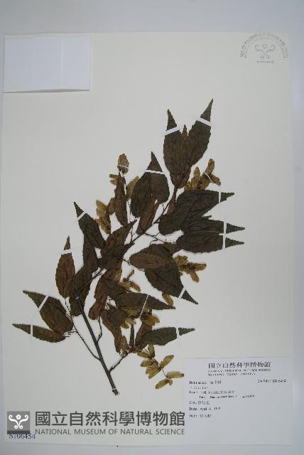 登錄號:S106454藏品圖，第1張