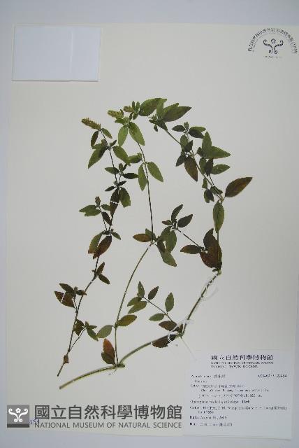 登錄號:S122454藏品圖，第1張