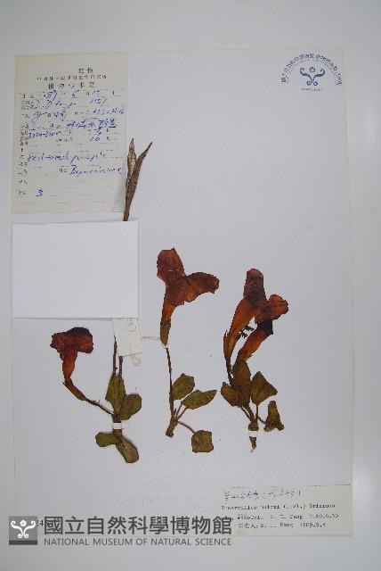 登錄號:S022454藏品圖，第1張