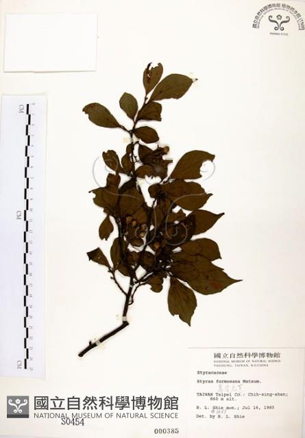 烏皮九芎、奮起湖野茉莉藏品圖，第1張