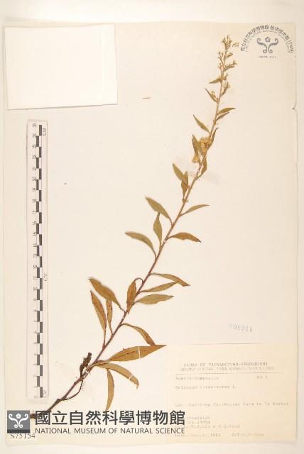 登錄號:S075154藏品圖，第1張