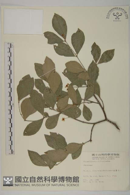 登錄號:S007154藏品圖，第1張