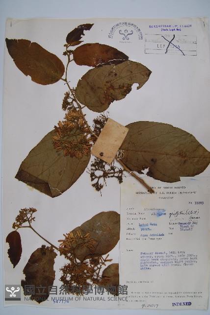 登錄號:S047154藏品圖，第1張