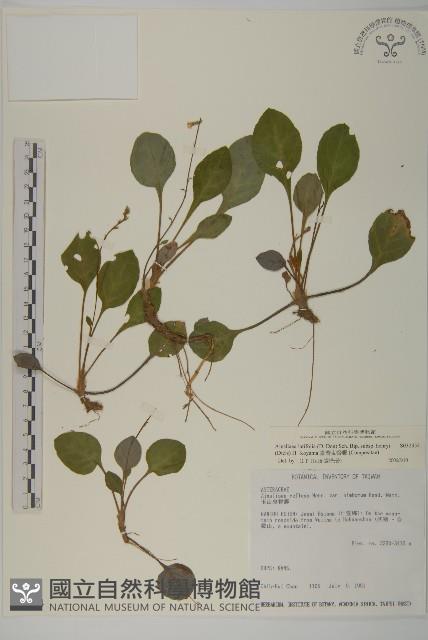 臺灣鬼督郵藏品圖，第1張