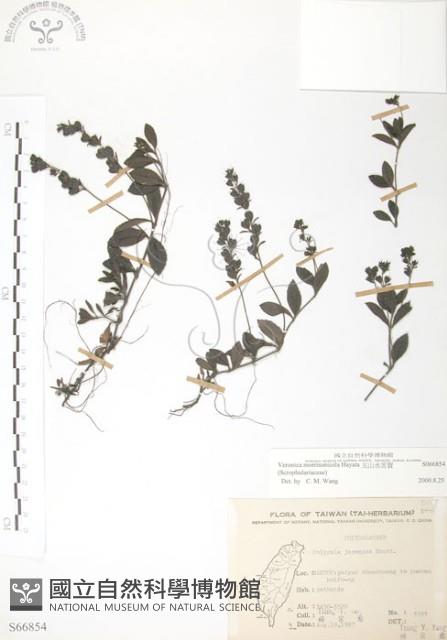 玉山水苦賈藏品圖，第1張