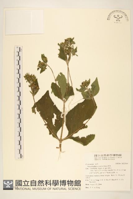 豨簽藏品圖，第1張