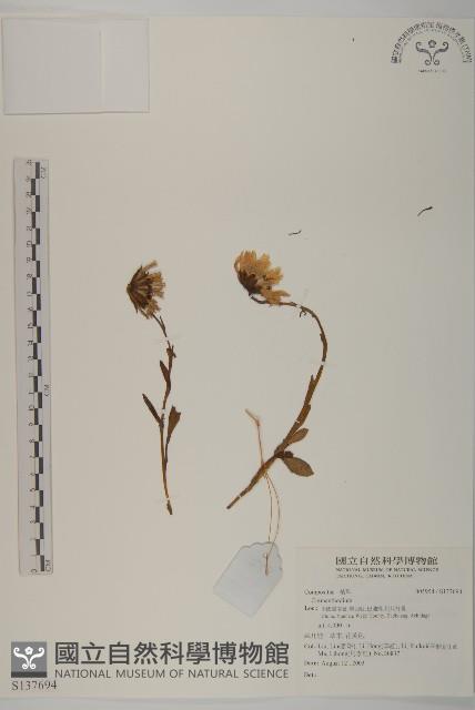 登錄號:S137694藏品圖，第1張