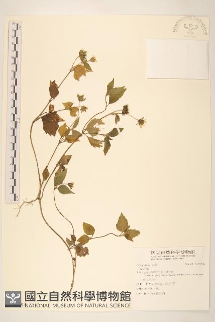 登錄號:S123094藏品圖，第1張